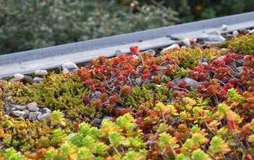 the cost of Low Bradley green roof installation