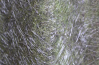 Low Bradley fibreglass roof work